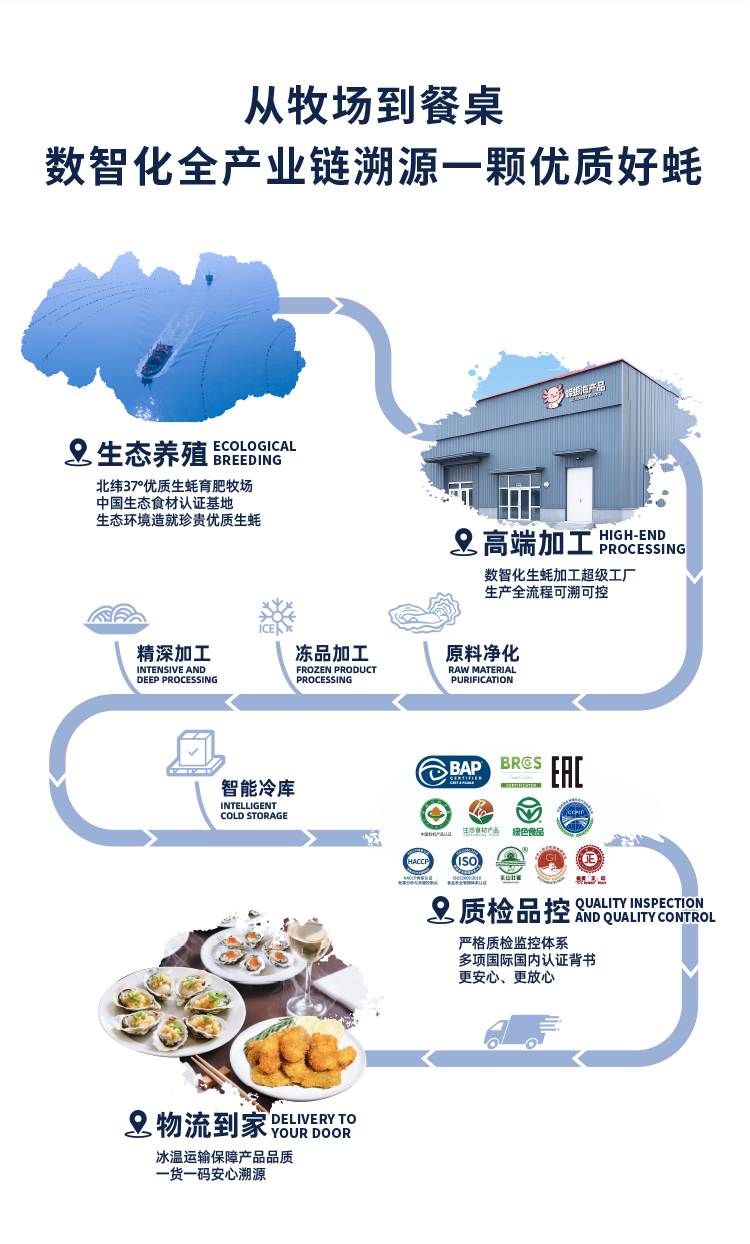 灯塔水母数智化升级