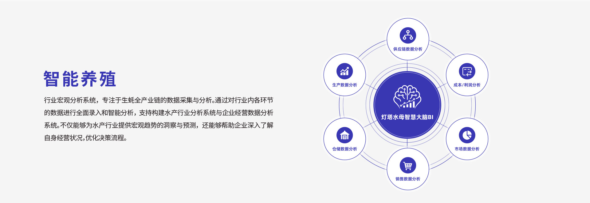 灯塔水母数智化升级