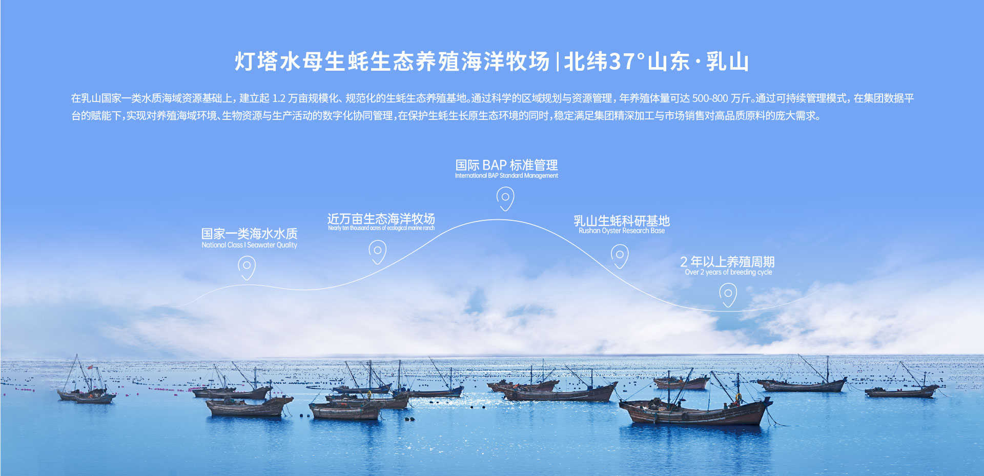灯塔水母BAP认证