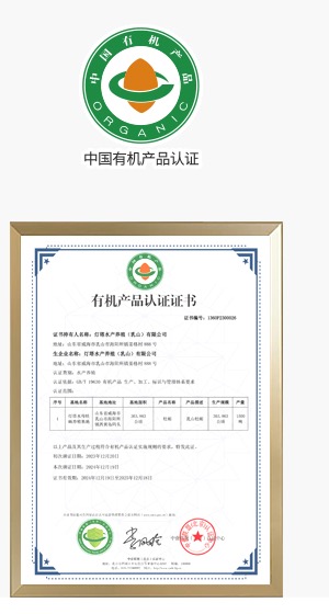 国际国内权威认证