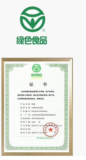 国际国内权威认证